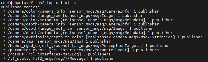 realsense-basic-topic